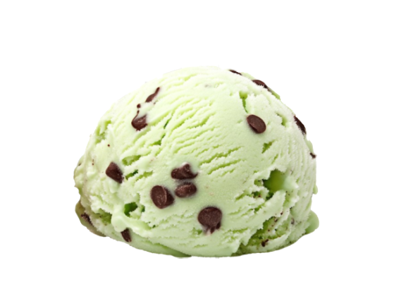 mint choco chip